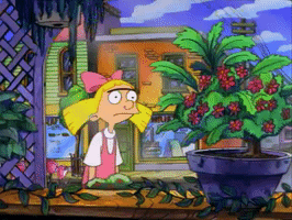 200.gif?cid=fc005b08bfd6dad3e3238fea9264097f94f1d23c7a4864b1&rid=200.gif&ct=g
