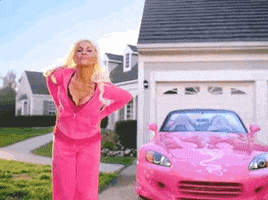 Trophy Wife Suburbs GIF by P!NK
