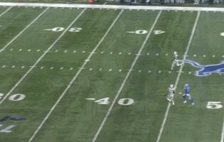 a5hcrack detroit lions dez stewart punt coverage GIF