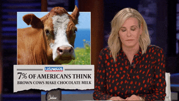 TV gif. Chelsea Handler at a news desk, with a straight blank face, blinking, next to an image of a cow and a US News headline that reads, "7% of Americans think brown cows make chocolate milk."