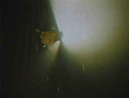 off the wall nyck caution GIF by Nyck @ Knight
