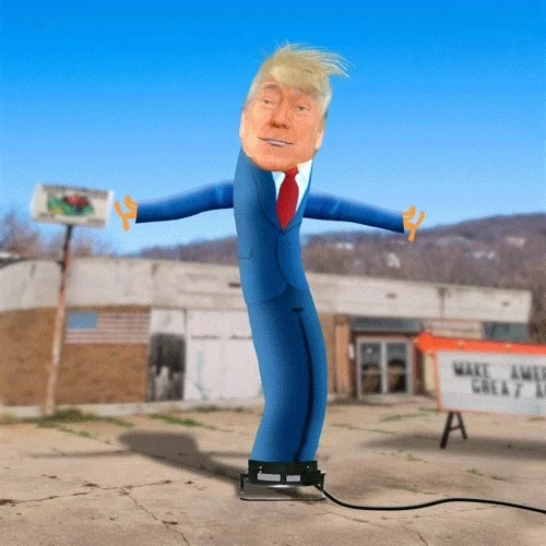 donald trump GIF