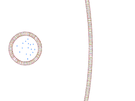 fabiodiasmagalhaes  GIF