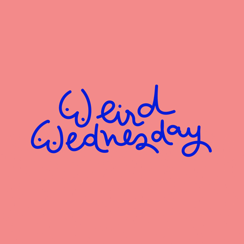 Text gif. Wiggly text with the Ws shaped to look like boobs. Text, “Weird Wednesday.”