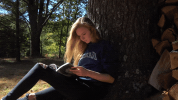 GENEZIZ #books #wind #reading #literature #studying #thought catalog books GIF