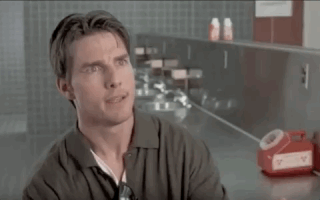 adiklag hiring customer success hibob GIF