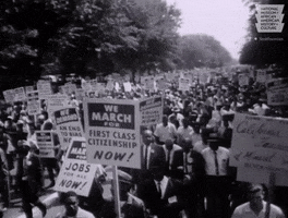 voting washington dc GIF by Smithsonian National Museum of African American History & Culture