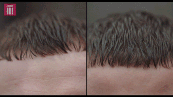 200.gif?cid=fc005b085519b5648cddd05b685c0c726aac0ef4a22968b3&rid=200.gif&ct=g