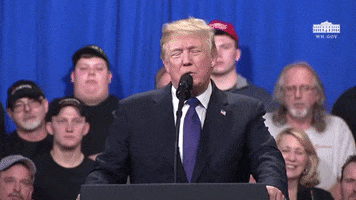 Donald Trump GIF by Resi News – Nachrichten, die Spaß machen
