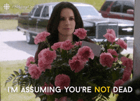 Flower Dead Gifs Get The Best Gif On Giphy Flower Dead Gifs Get The Best Gif On Giphy
