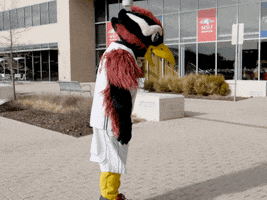 university mascot dancing GIF