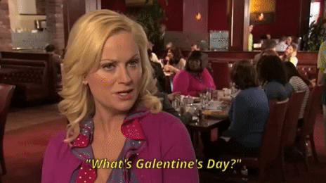 Parks And Recreation Happy Galentines Day GIF by NBC - Find & Share on GIPHY