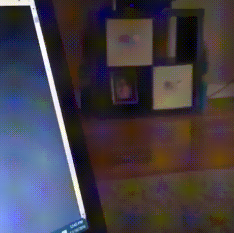 Fun GIF