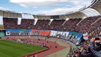4-4-22 La Lega B accoglie il Bari: Bentornata. Una meravigliosa stagione ... straordinaria - Pagina 2 200.gif?cid=a0a8deb3w0ef02m2vltoj77es83shsnwq58zx0q0b1g8cr16&rid=200