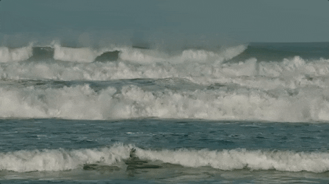 Sea GIFs - Get the best GIF on GIPHY