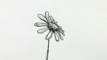 Flower Dancing GIF