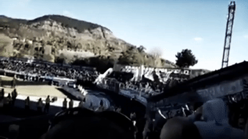 Fish Funny Football GIF