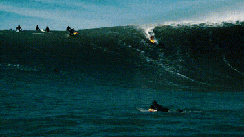 wsl GIF by World Surf League