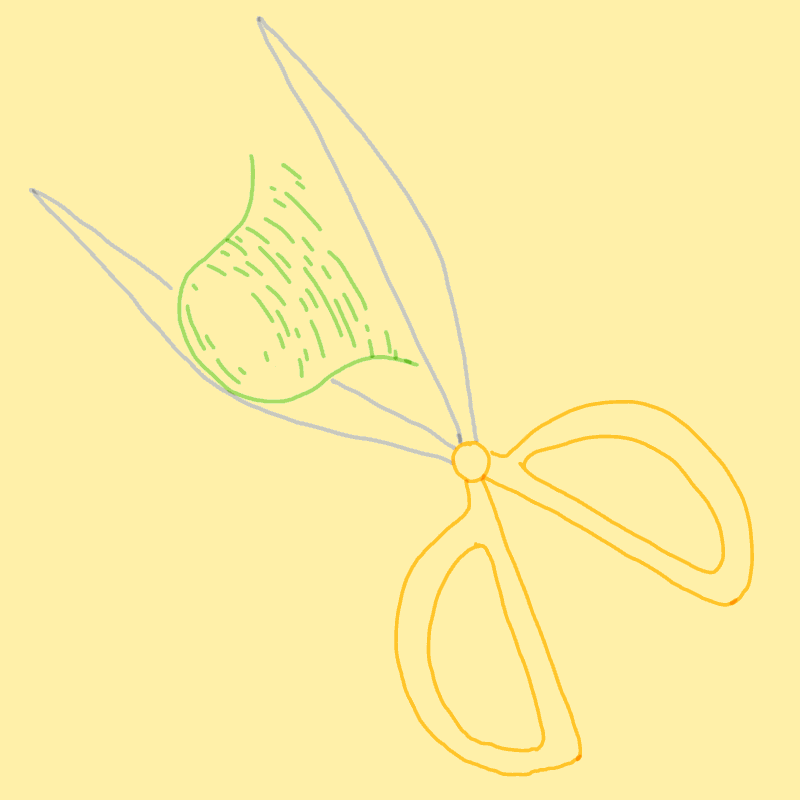 Animation Scissors GIF Find & Share on GIPHY