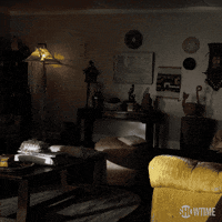 confused season 8 GIF by Showtime