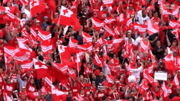 World Cup League GIF by NRL
