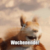Wochenende Gifs Get The Best Gif On Giphy