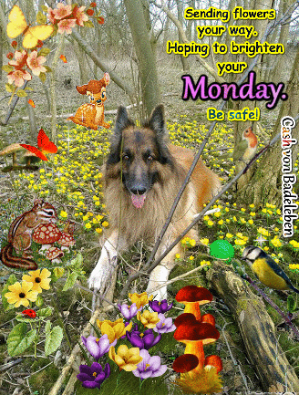 cashvonbadeleben nature flower flowers yellow GIF