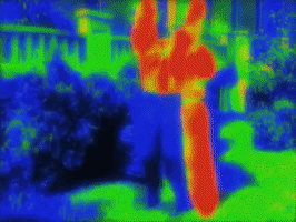 200.gif?cid=fc005b08a9edf73ae93c0aacce884bd7db204d5448fb678c&rid=200.gif&ct=g