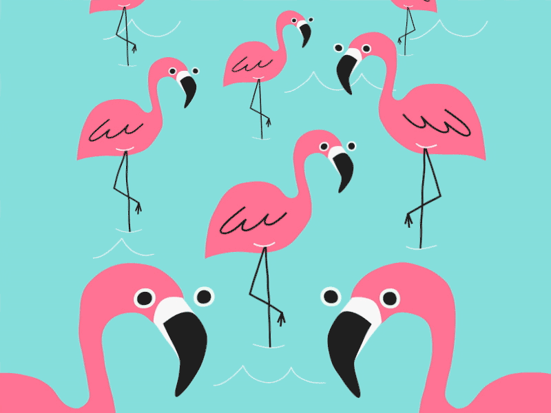 Hungry Flamingo GIF by Ethan Barnowsky Find & Share on GIPHY