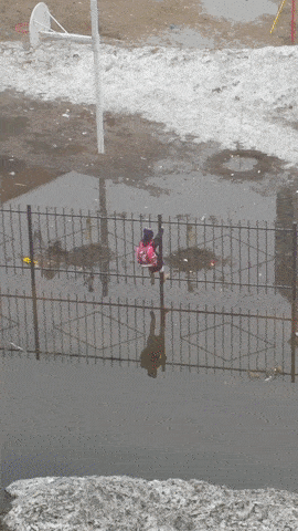 nikeloku  GIF
