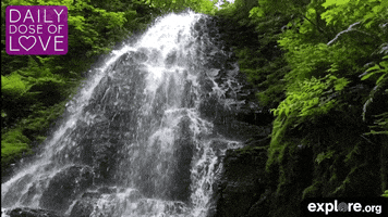 waterfall love GIF by explore.org