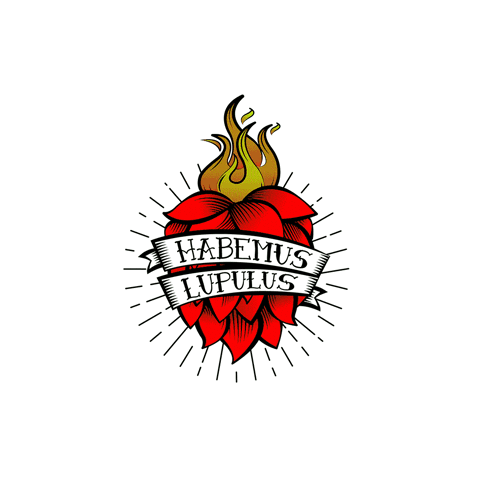 arielnavarro craftbeer cerveza artesanal st patricks habemuslupulus GIF