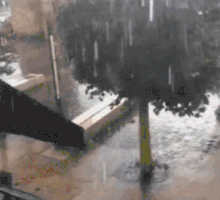 gifail  GIF