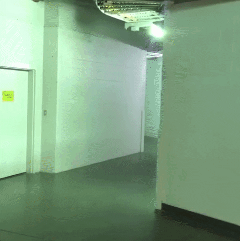Sports gif. Steph Curry sprints down a hallway and towards an opening into a packed stadium. 