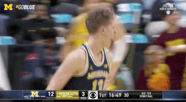 March Madness GIF by Michigan Athletics