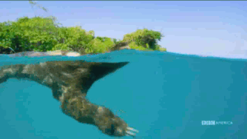 200.gif?cid=fc005b0812799400a52368f53050b8605b3c6522a7cb1c80&rid=200.gif&ct=g