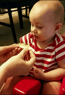 shubhamdawra reaction babies baby reaction GIF