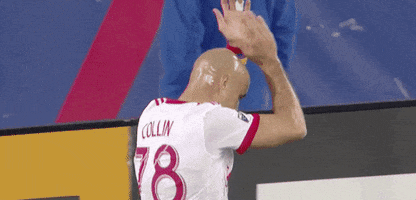 hand up red bulls GIF by New York Red Bulls