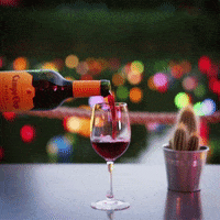 Pouring Red Wine GIF by Campo Viejo UK