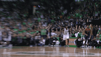 excited boston celtics GIF by NBA