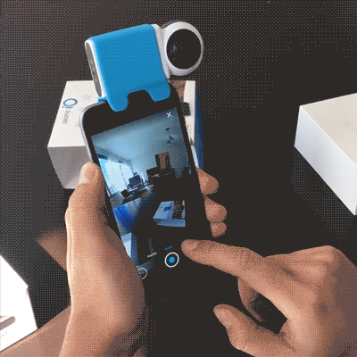 GIF by Tangelo