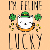 St Patricks Day Cat GIF by LookHUMAN