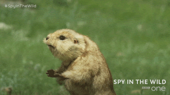 Наслаждаясь любовной игрой
И теплом нежных ласковых фраз нас накроет  блаженства