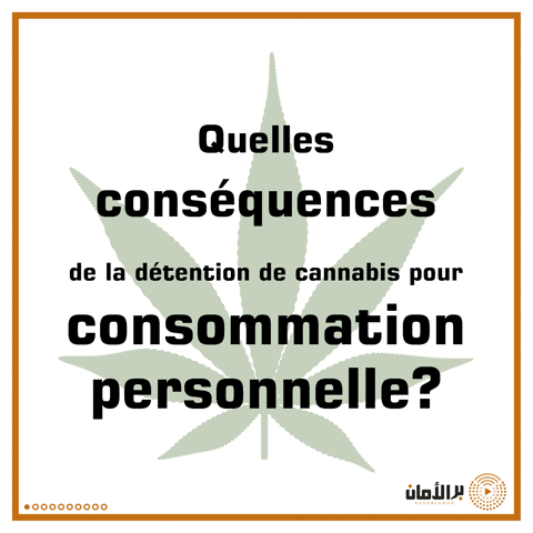 barralaman cannabis2_worldtour GIF