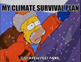 simpsons my climate survival guide GIF by Center for Story-based Strategy 