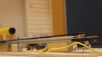 gurbakshsingh oo GIF