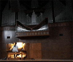 pipe organ uf GIF by University of Florida
