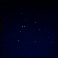 night GIF by Erica Anderson