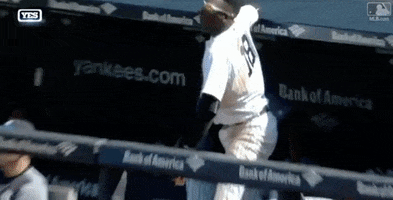 looking out new york yankees GIF by MLB