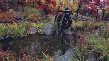 Wesley-Chang-Cinemagraphs loop nature fall autumn GIF